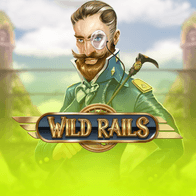 Wild Rails screenshot